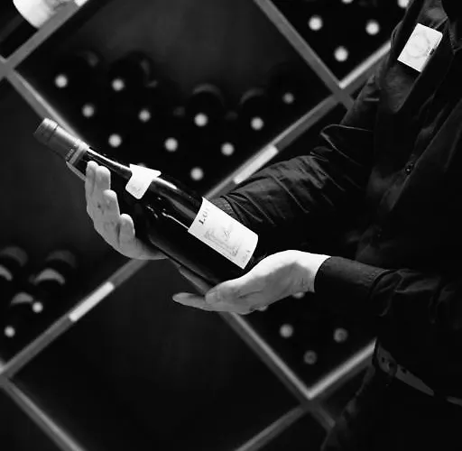 Hotel Vert Hotell 2*